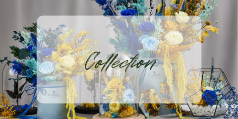 Banner from design 6 