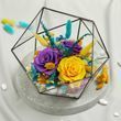 Romance collection