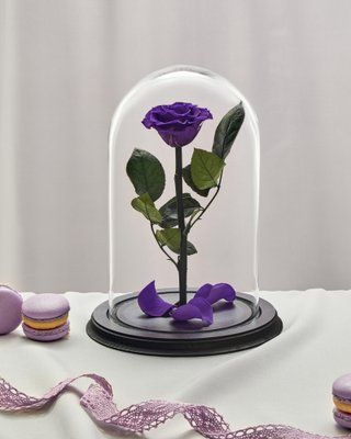 Preserved Rose in Glass (bright purple)