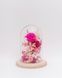 Glass dome "Barbie" 100208 фото 1