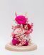 Glass dome "Barbie" 100208 фото 3
