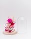 Glass dome "Barbie" 100208 фото 4