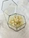 Ring boxes "Snow-white luxury" hexagon 101583 фото 2