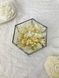 Ring boxes "Snow-white luxury" hexagon 101583 фото 10