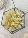 Ring boxes "Snow-white luxury" hexagon 101583 фото 4
