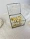 Ring boxes "Snow-white luxury" rectangular 101584 фото 2