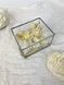 Ring boxes "Snow-white luxury" rectangular 101584 фото 6