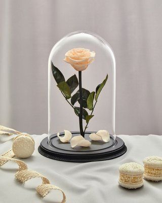 Preserved Rose in Glass (vanilla)