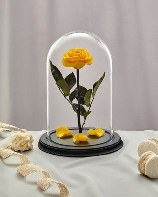 Preserved Rose in Glass (yellow)