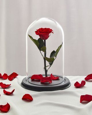 Preserved Rose in Glass (Red)