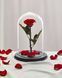 Preserved Rose in Glass (Red)