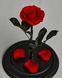 Preserved Rose in Glass (Red)