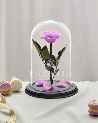 Preserved Rose in Glass (Soft Lilac)