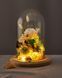​​​​​​​Glass domе with lights "Spring" 100302 фото 1
