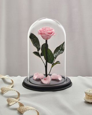 Preserved Rose in Glass (light pink)