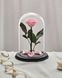 Preserved Rose in Glass (light pink)