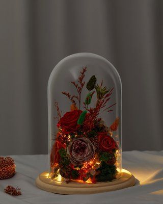 Glass dome with lights "Terracotta" 101239 фото