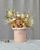 Flower hat box