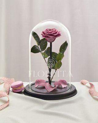 Preserved Rose in Glass (lilac)
